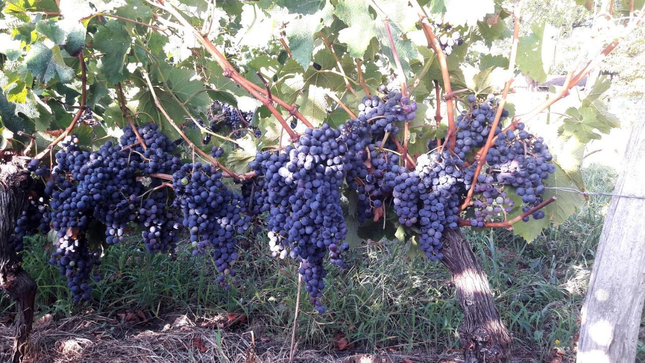 Monestier  Le Clos D'Almide מראה חיצוני תמונה