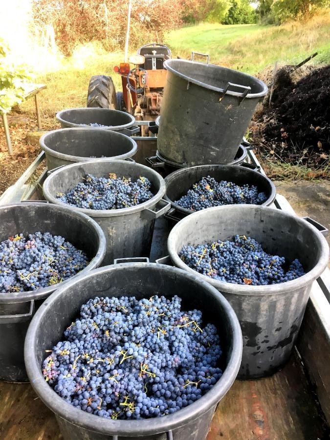 Monestier  Le Clos D'Almide מראה חיצוני תמונה